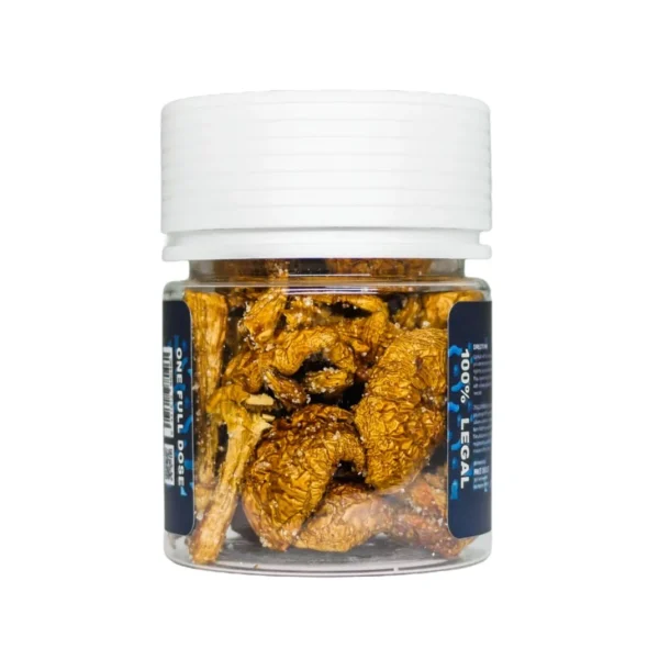 Blaze Mad Honey Shrooms 15GR - Image 2